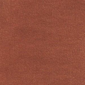 Napura Alcantara