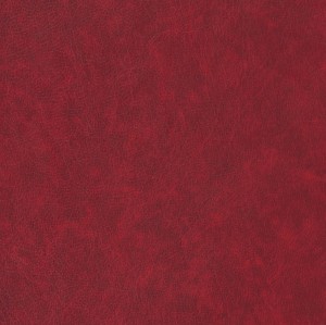Wikivil Listek 6020
